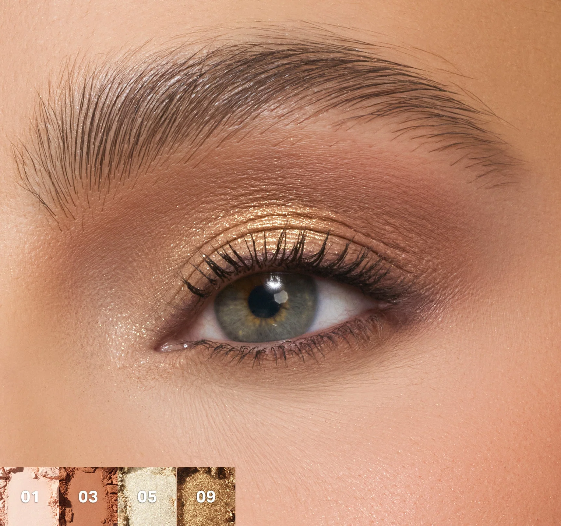 ChromaPlus 12-Pan Eyeshadow Palette - Image 15