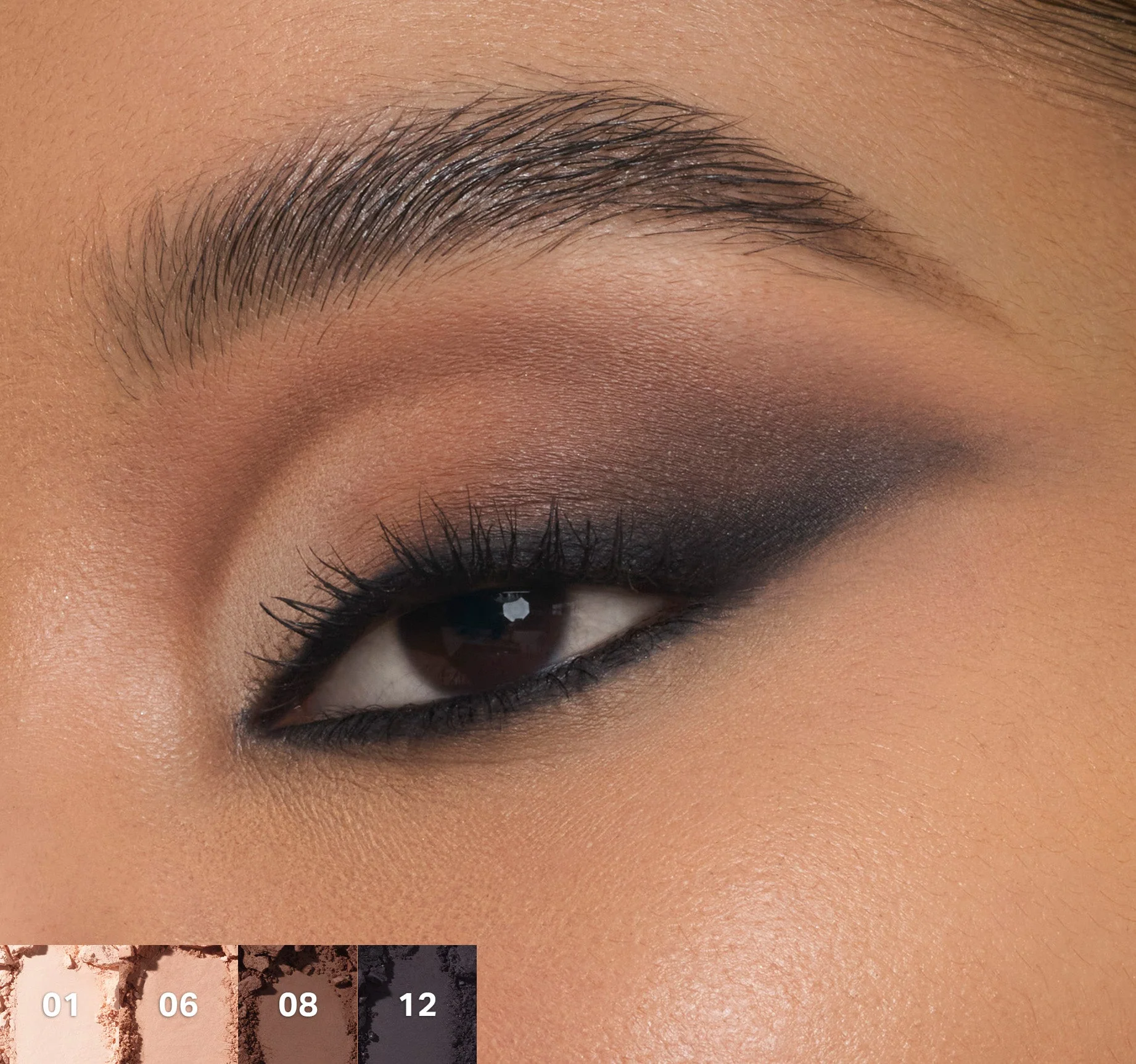 ChromaPlus 12-Pan Eyeshadow Palette - Image 16