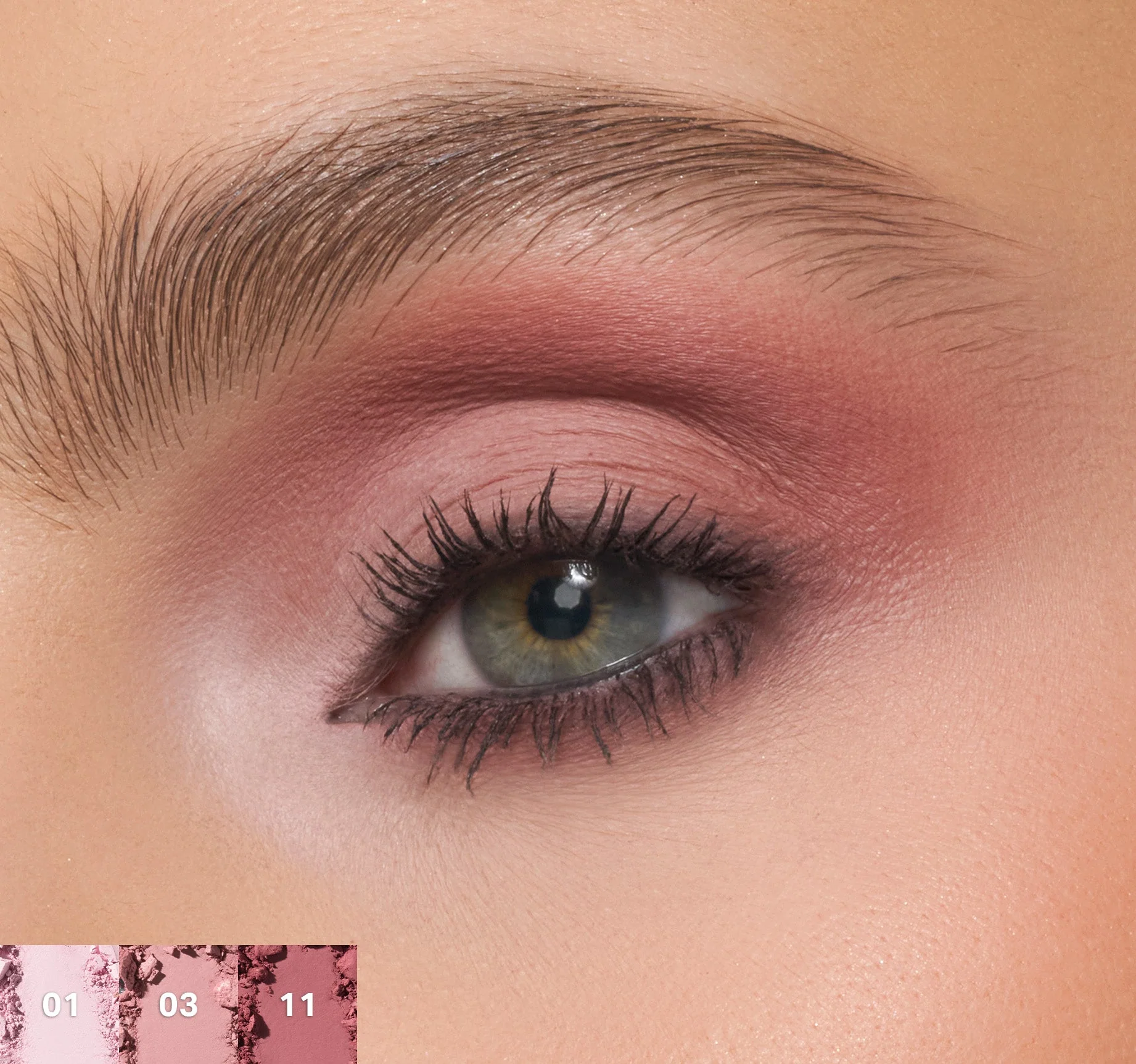ChromaPlus 12-Pan Eyeshadow Palette - Image 19