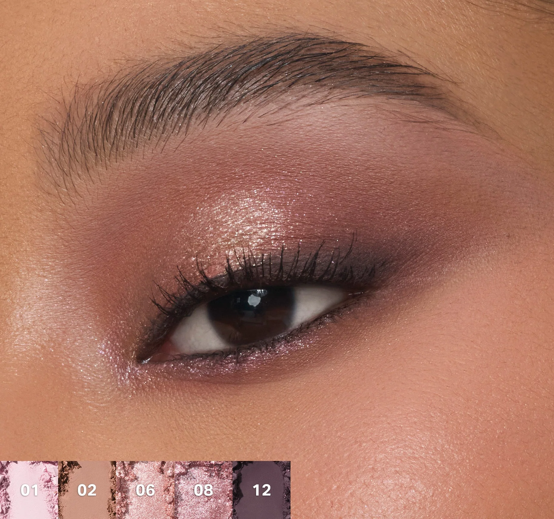 ChromaPlus 12-Pan Eyeshadow Palette - Image 20