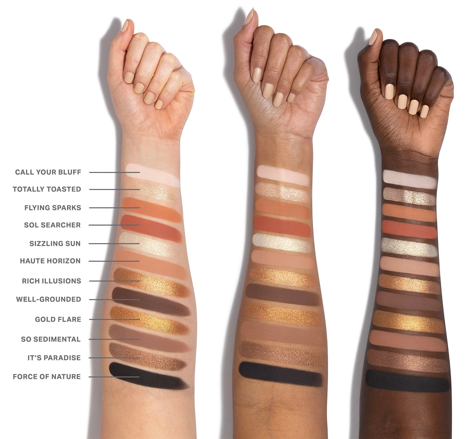 ChromaPlus 12-Pan Eyeshadow Palette - Image 5