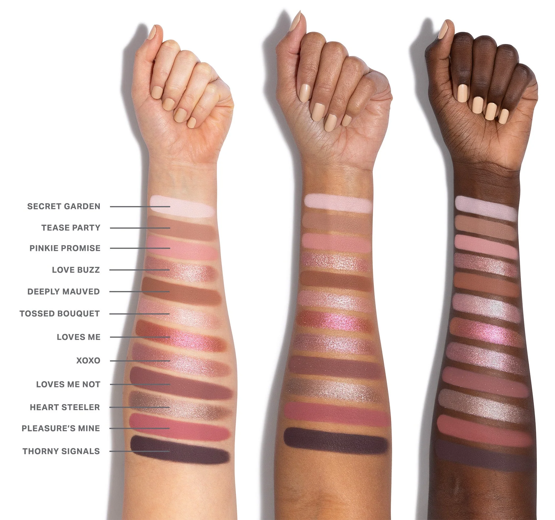 ChromaPlus 12-Pan Eyeshadow Palette - Image 8