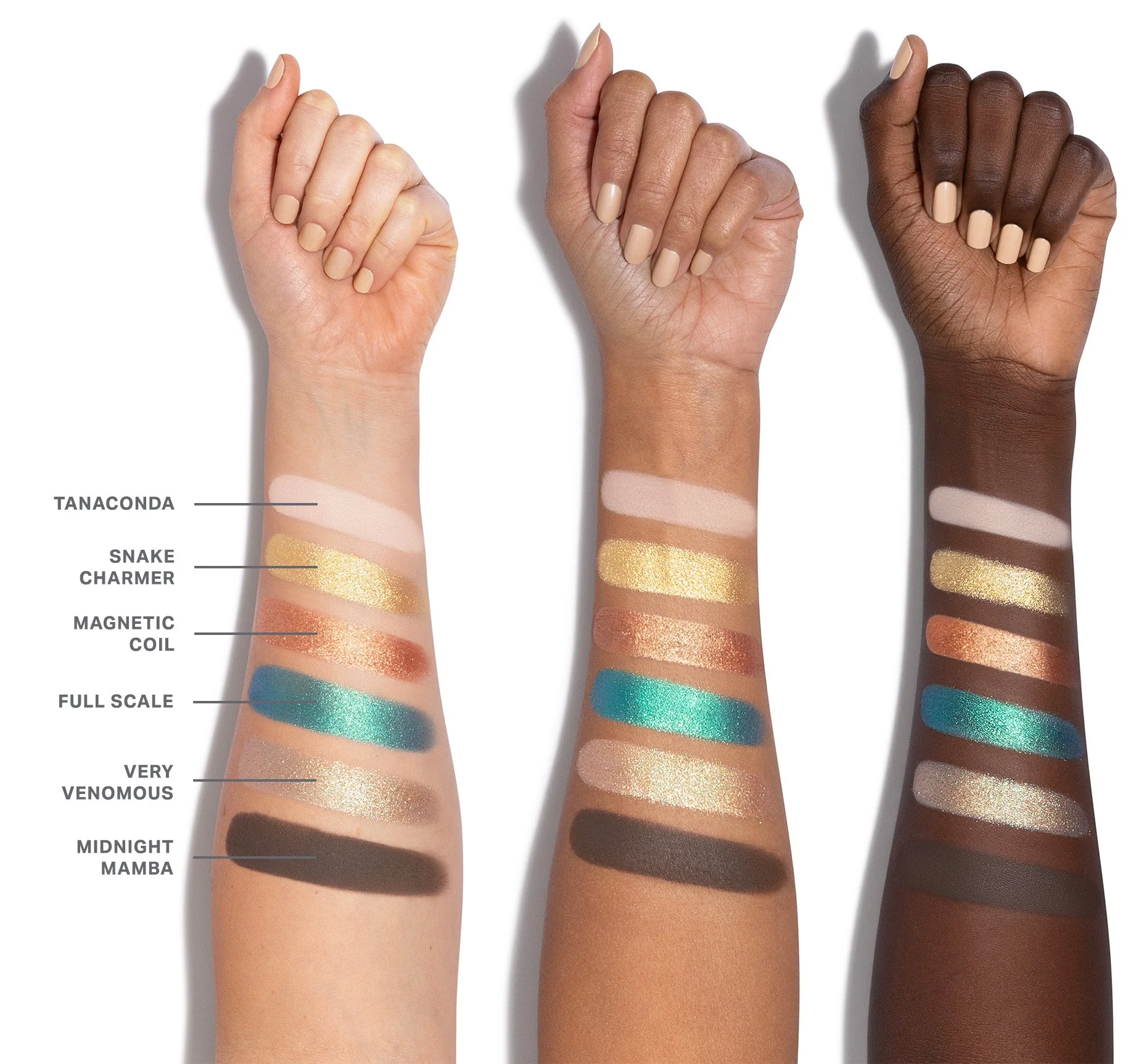 ChromaPlus 6-Pan Eyeshadow Palette - Image 11