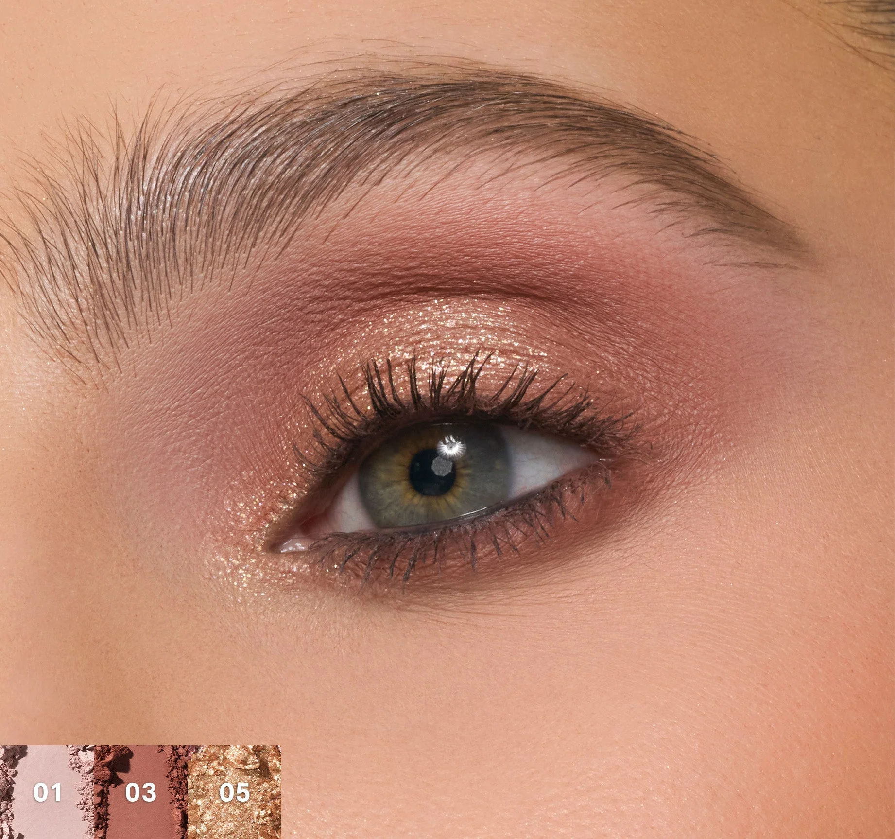 ChromaPlus 6-Pan Eyeshadow Palette - Image 23