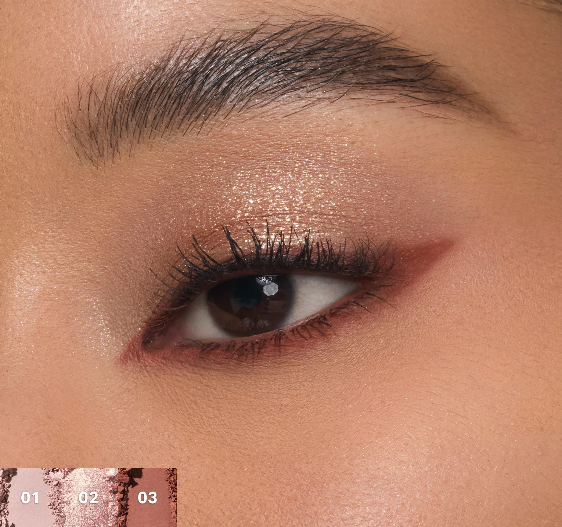 ChromaPlus 6-Pan Eyeshadow Palette - Image 24